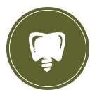 Endodontic Procedures